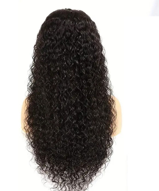 Water Wave Lace Wig